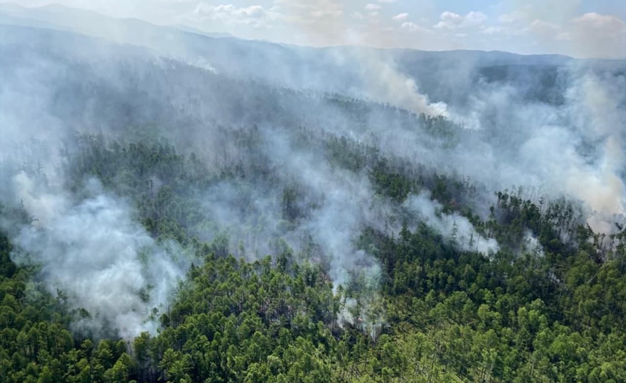 Сухие грозы стали причиной пожаров в заповеднике "Сихотэ-Алинский" в Приморье