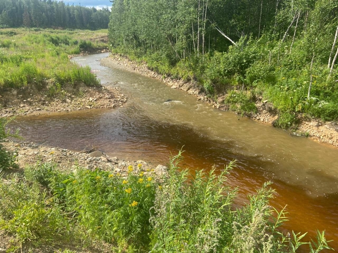 Золотодобытчиков проверяют из-за очередного загрязнения рек Кузбасса