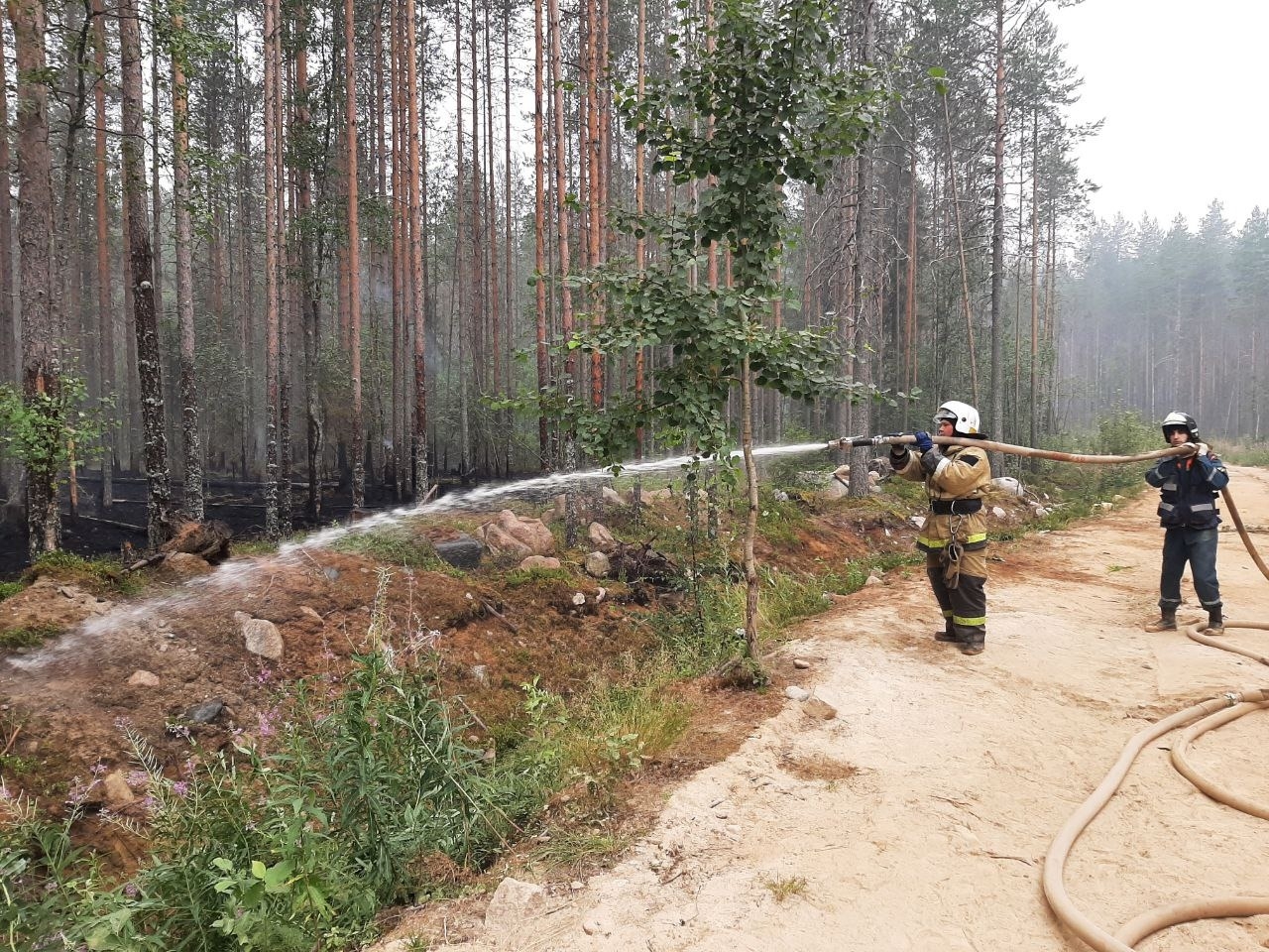 Военные ЗВО тушат лесные пожары в Карелии