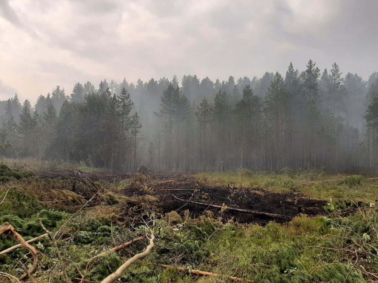 Площадь лесных пожаров в Карелии за выходные снизилась на 2,1 тыс. га