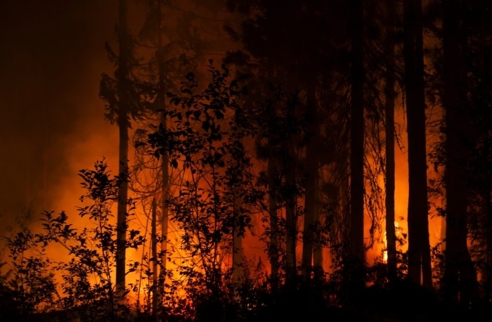 Около 100 жителей одного из поселков в Якутии эвакуировали из-за лесного пожара