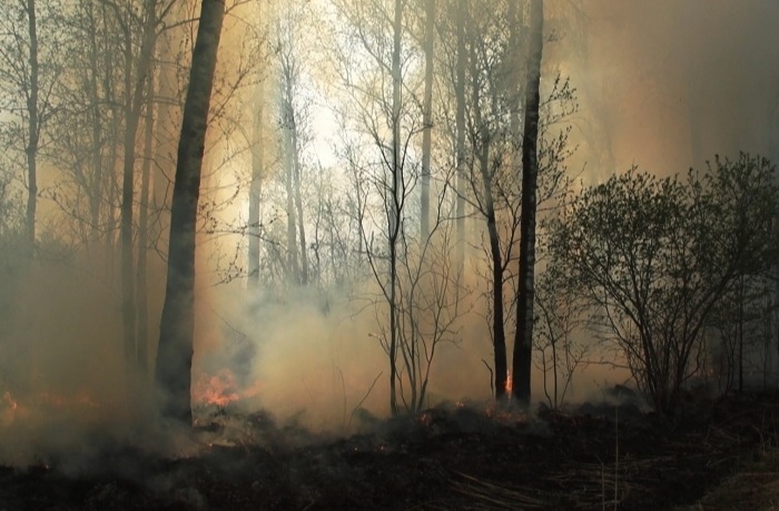 Дым от лесных пожаров в Якутии достиг городов Урала
