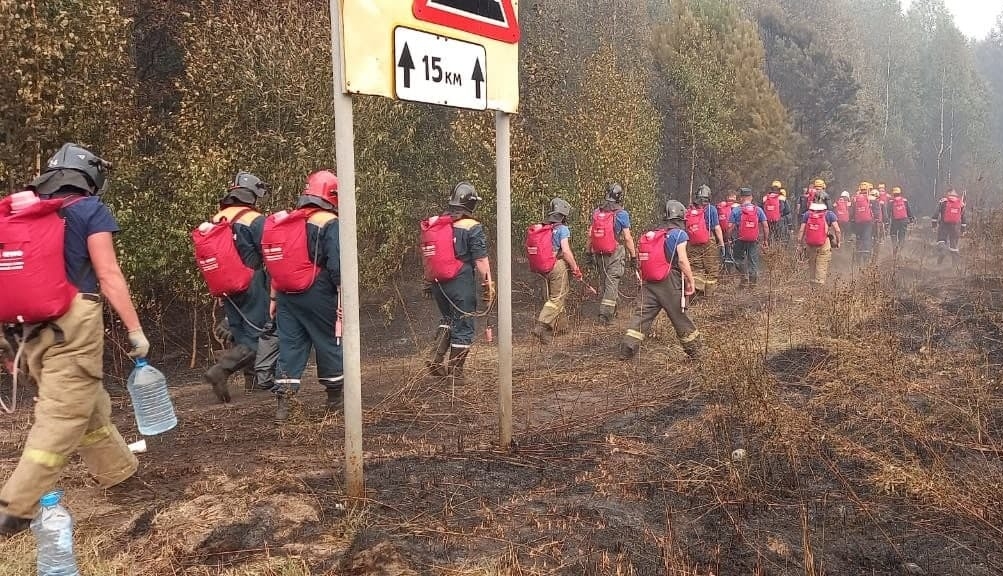 Площадь активного горения лесного пожара в Нижегородской области сократилась до 2 га