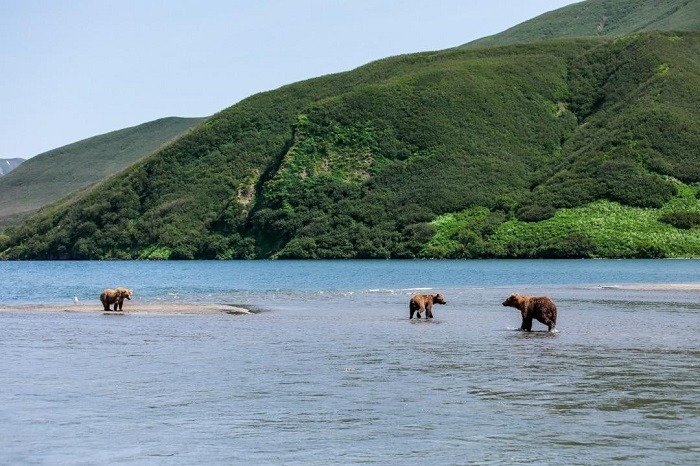 Туристам вновь разрешено посещать Курильское озеро на Камчатке