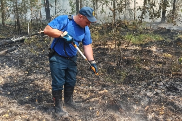 Природные пожары на площади 3 тыс. гектаров потушены в Свердловской области
