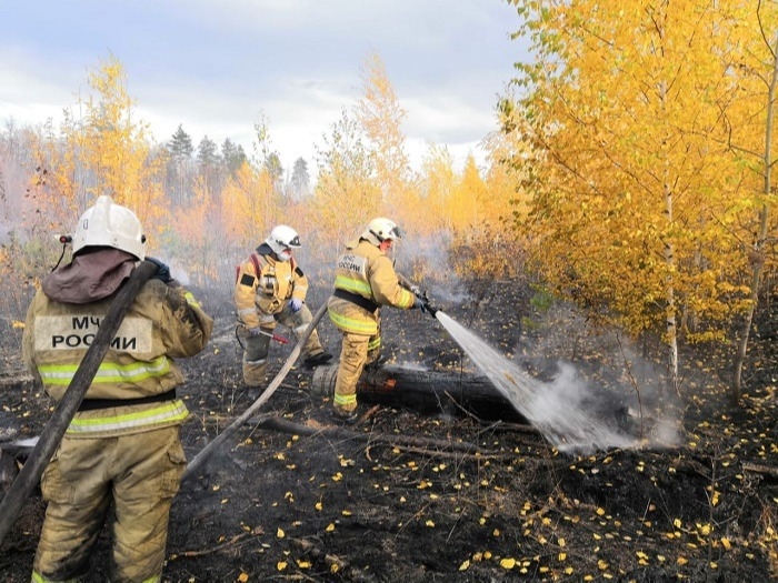 Пожарные ликвидировали возгорание валежника и сухой растительности в Тольяттинском лесничестве