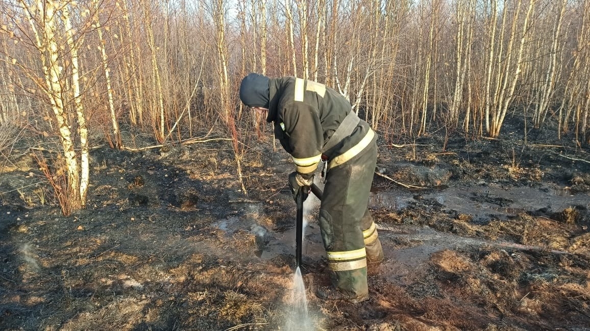 Более 13 тыс. тонн воды использовали пожарные для тушения торфяника в Екатеринбурге