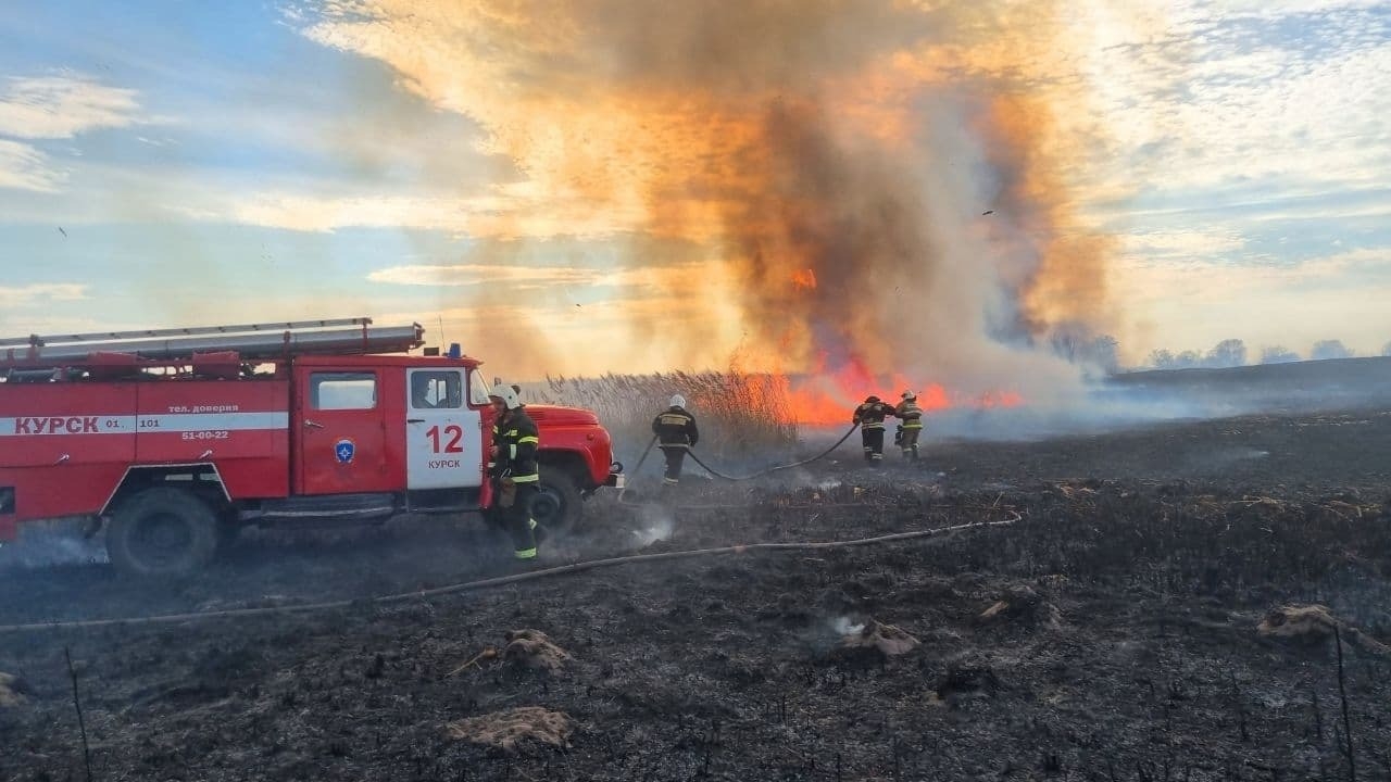 Курские спасатели защитили населенный пункт от крупного природного пожара
