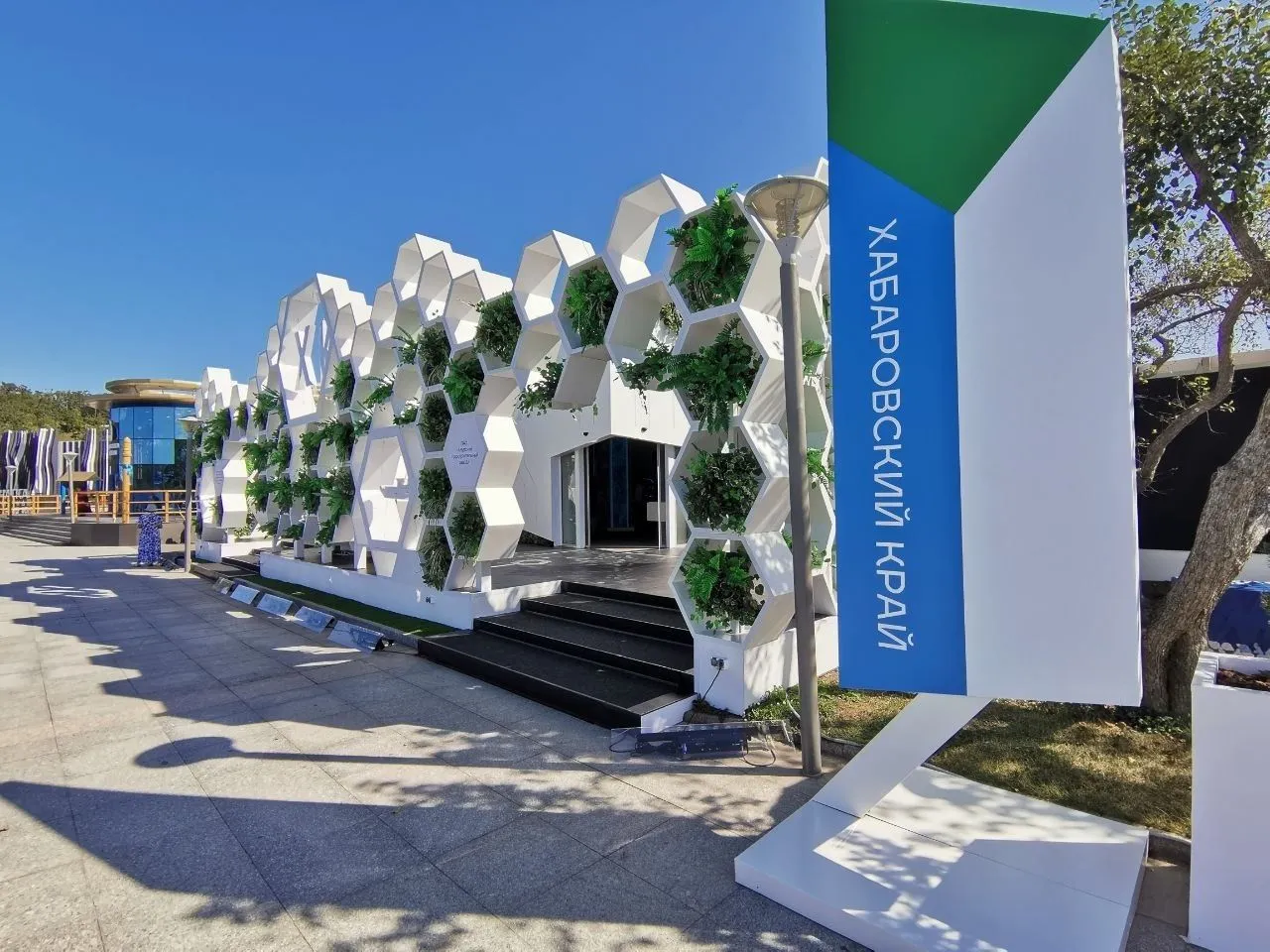 Хабаровский край, Забайкалье и ЕАО стали победителями выставки "Улица Дальнего Востока"