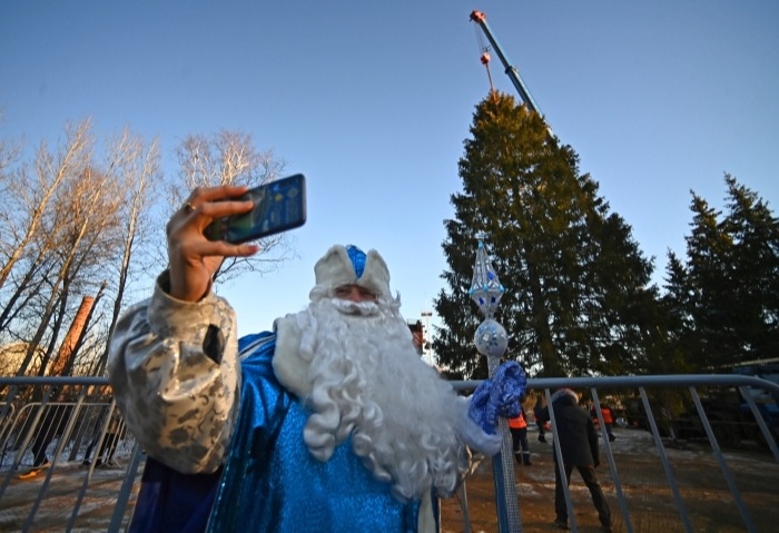 Главную новогоднюю елку страны нашли в деревне Новопареево, ее высота - 28 метров