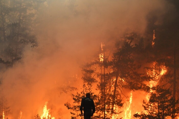 Лесные пожары нанесли Приморью ущерб в 107 млн рублей в 2021 году