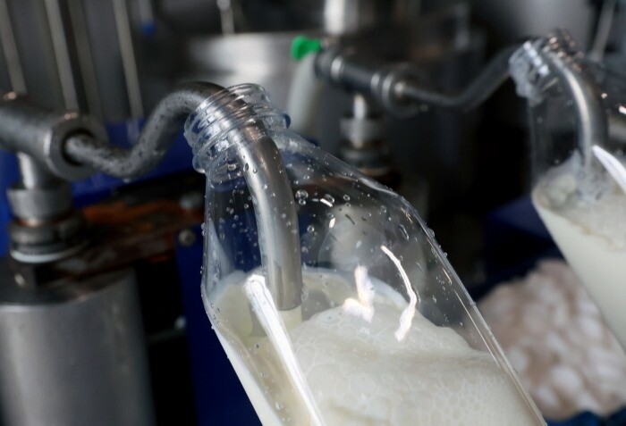 Объем производства молока в Вологодской области достигнет в 2021г 600 тыс. т - губернатор