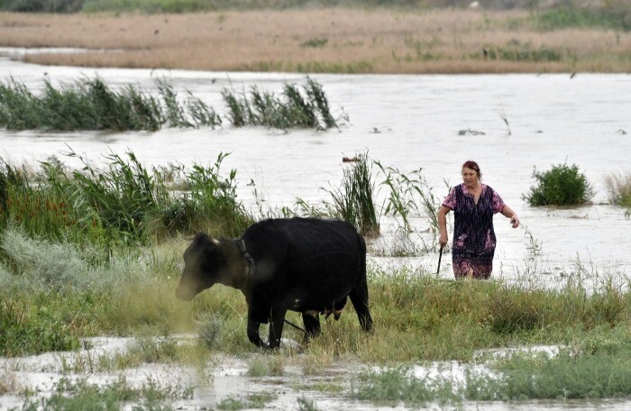 Глава Дагестана выступил за пересмотр закона о землях отгонного животноводства