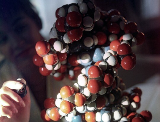Структуру белка, восстанавливающего ДНК человека, впервые описали новосибирские ученые