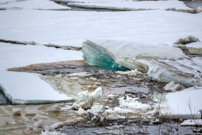 Девять рыбаков сняли с отколовшейся льдины в Большой Неве