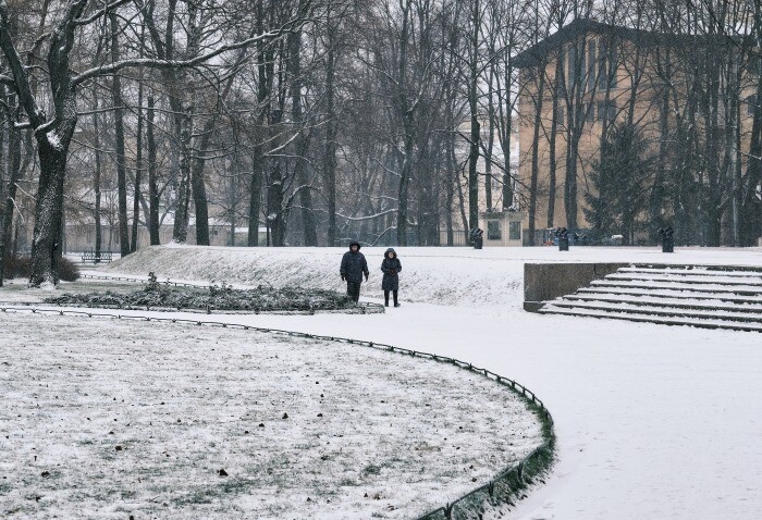 В Петербурге уже переработали на 25% снега больше, чем за весь зимний сезон прошлого года - Смольный