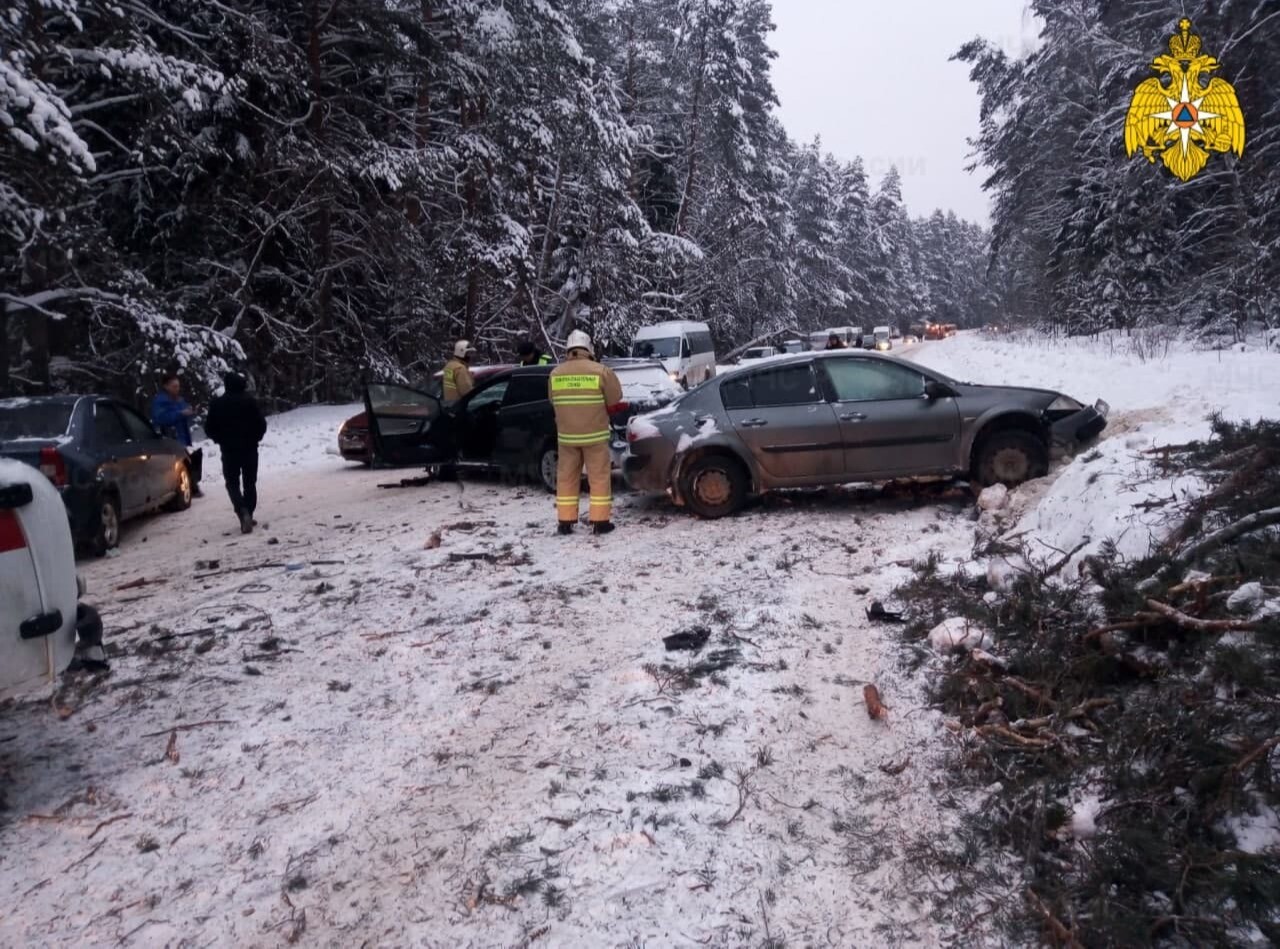 Пытавшийся убрать с дороги упавшее дерево водитель погиб в Калужской области под колесами встречной машины