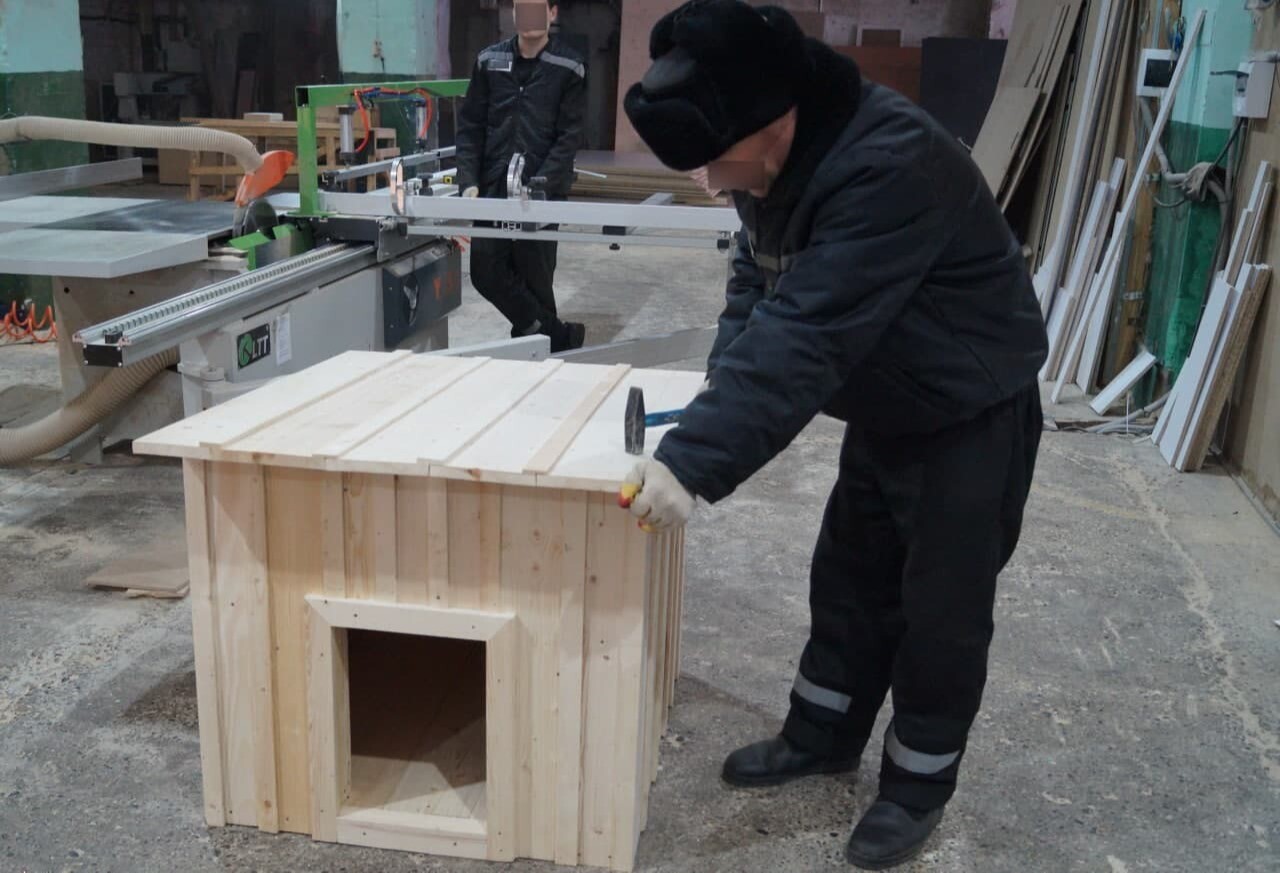 Заключенные томской колонии сделали будки приюту для бездомных собак