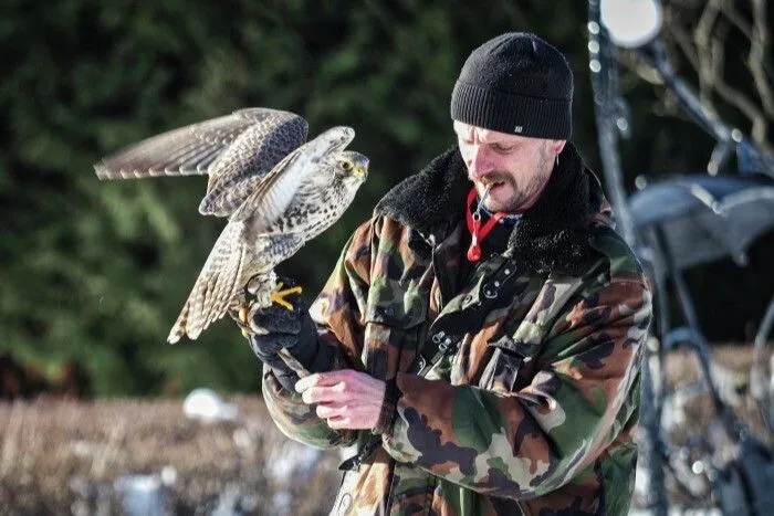 Международный центр по сохранению соколов открылся на Камчатке