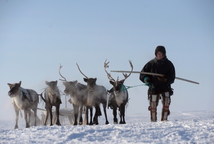 На Колыме планируют отменить разрешения на охоту для коренных народов Севера
