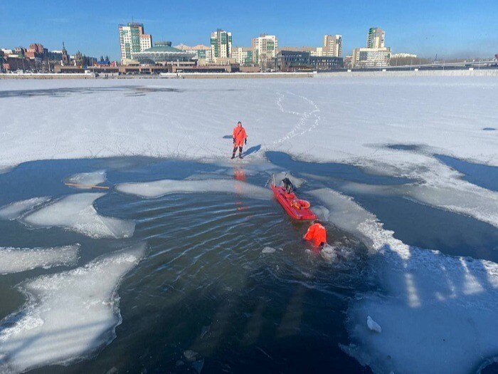 Челябинские спасатели сняли с льдины бродячую собаку