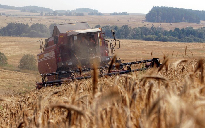 Россия с 15 марта по 30 июня может запретить экспорт пшеницы, ржи, ячменя и кукурузы