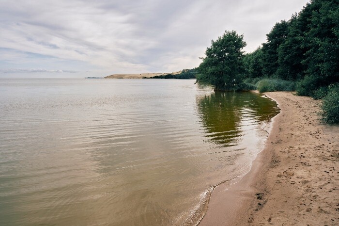 Балтийское море самостоятельно восстанавливает ширину пляжей Куршской косы - нацпарк