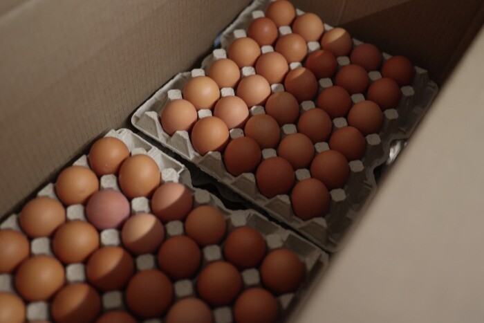 Крупнейшие иркутские производители снизили цены на куриное яйцо - власти