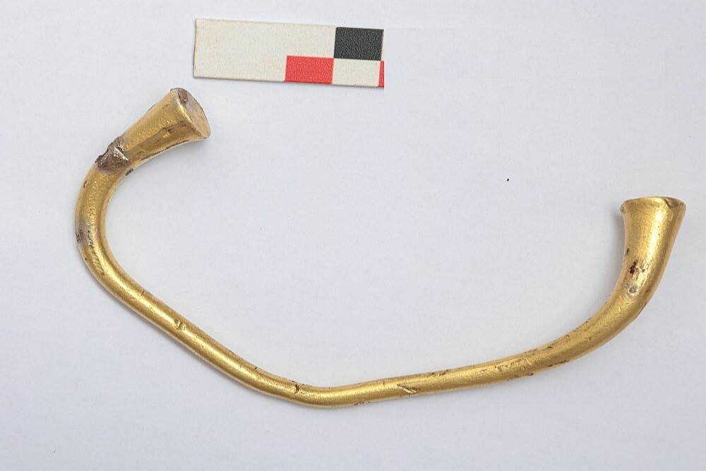 Калининградский фермер нашел в поле старинный золотой браслет