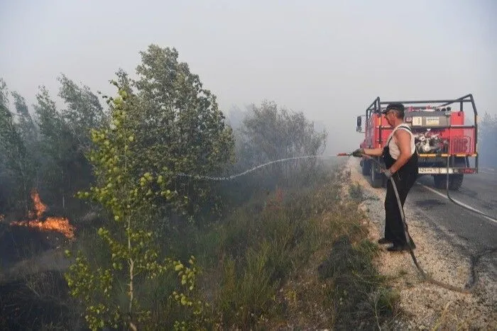 МЧС РФ: особый противопожарный режим введен в 46 регионах страны