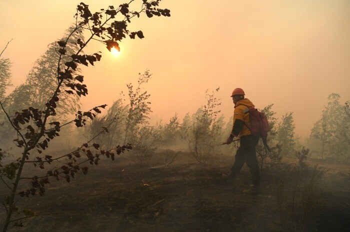 Шестнадцать пожаров действуют в Иркутской области, половина из них локализована - губернатор