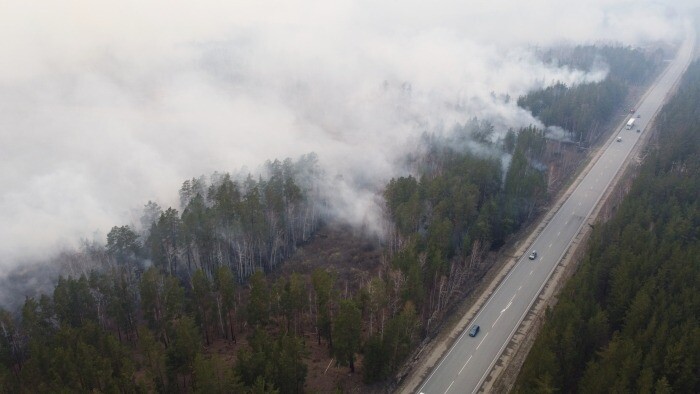 Режим ЧС ввели в Курганской области из-за угрозы пожаров