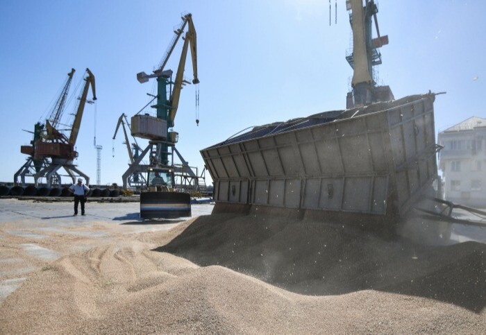 Лавров: Украина заминировала порты, где находятся суда с грузом пшеницы