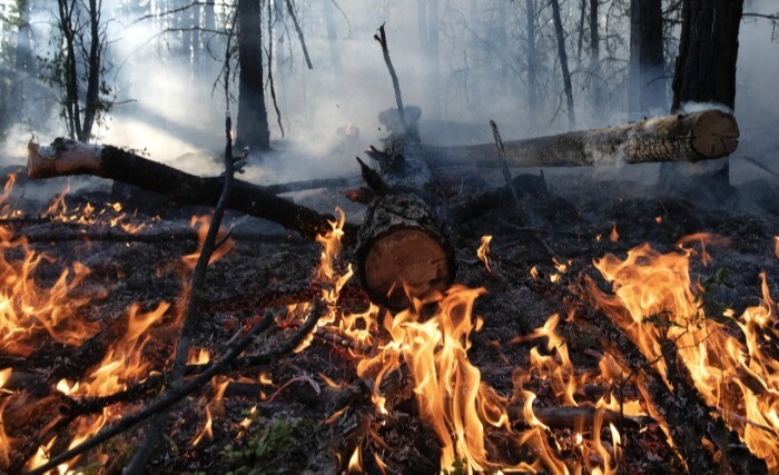 Площадь лесных пожаров в Свердловской области за день выросла вдвое