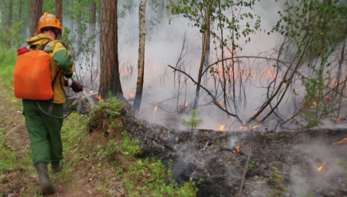 Три лесных пожара на площади более 1,4 тыс. га потушили за сутки в Тюменской области