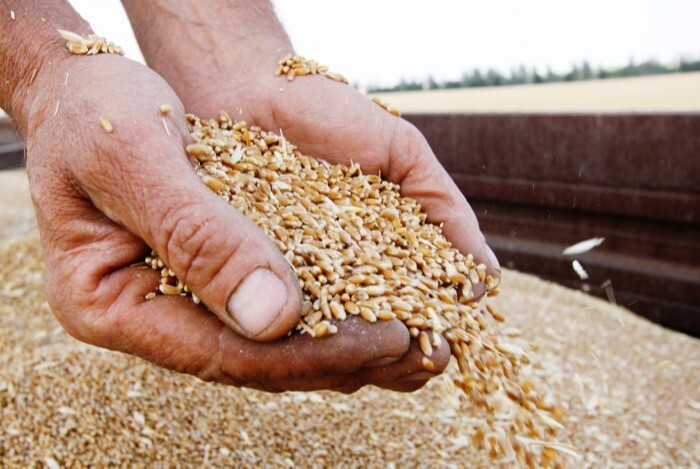 Замглавы МИД РФ Руденко: Россия готова предоставить гумкоридор для вывоза зерна из Украины