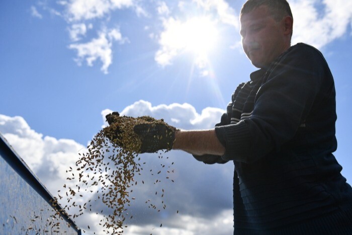 Минсельхоз: РФ в этом сельхозгоду может собрать рекордное количество зерна