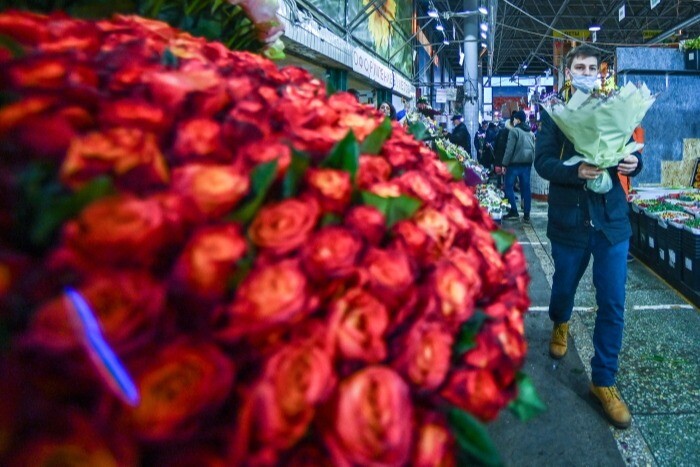 Государственный флаг соберут из 50 тыс. бутонов роз на Кубани в День России
