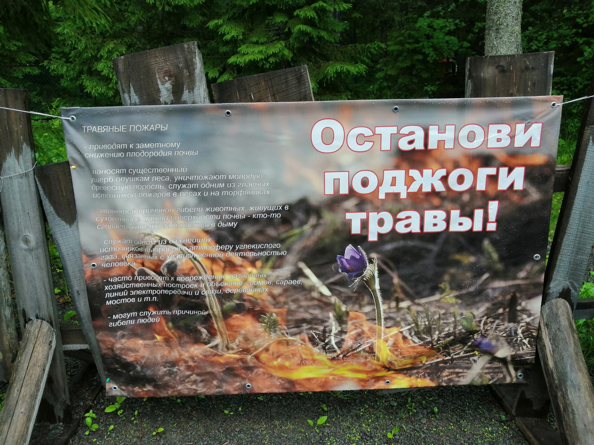 Наивысший класс пожарной опасности прогнозируется в Псковской области