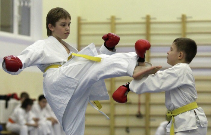 Каратэ-киокусинкай появится на уроках физкультуры в некоторых школах Сахалина - облдума