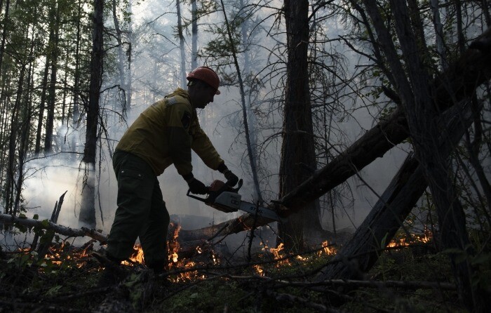 Природный пожар продолжают тушить в Михайловском районе Алтайского края