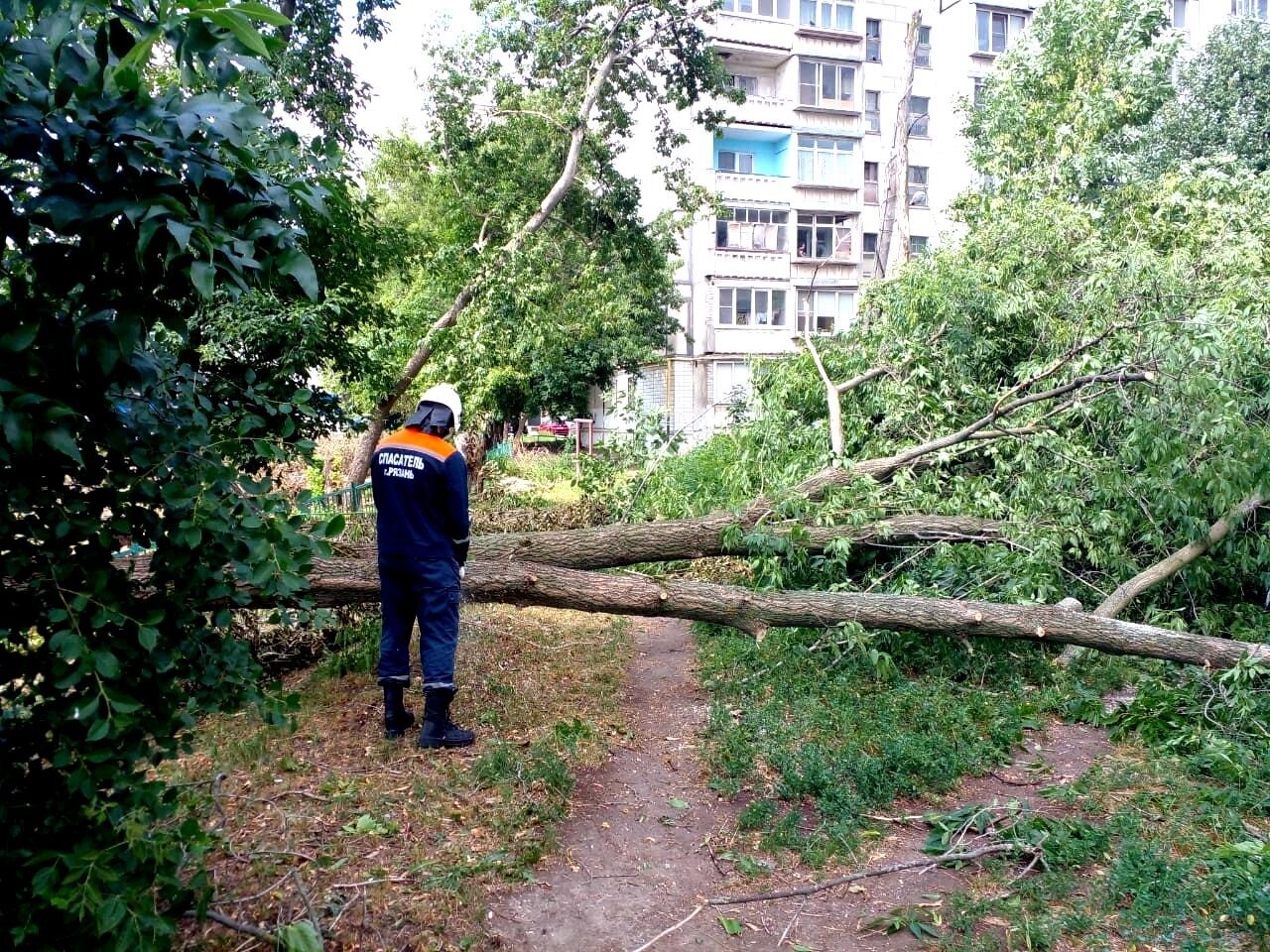 Работы по ликвидации последствий урагана в Рязани планируется завершить до вечера - власти