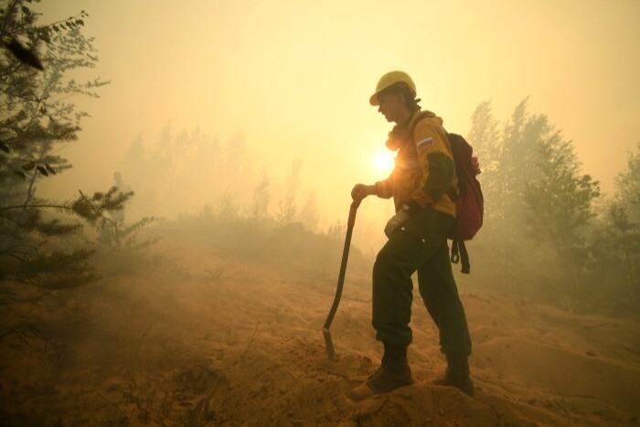 Более 30 лесных пожаров на площади 1,5 тыс. га тушат в Коми