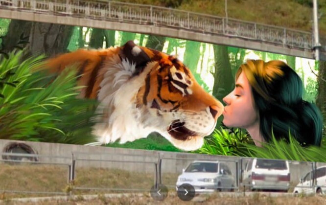 Масштабное граффити с изображением амурского тигра появится во Владивостоке