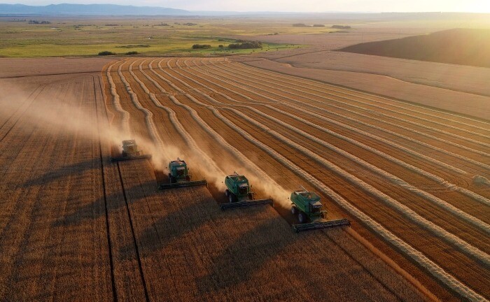 Волгоградская область собрала 2 млн тонн зерна
