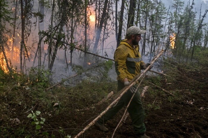 Лесной пожар тушат на Камчатке у поселка Палана