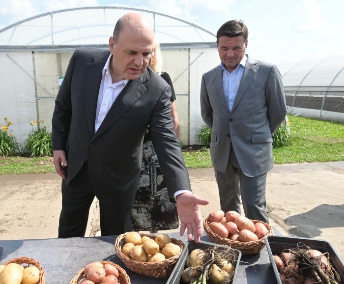Мишустин: развитие семеноводства обеспечит продуктовую безопасность России