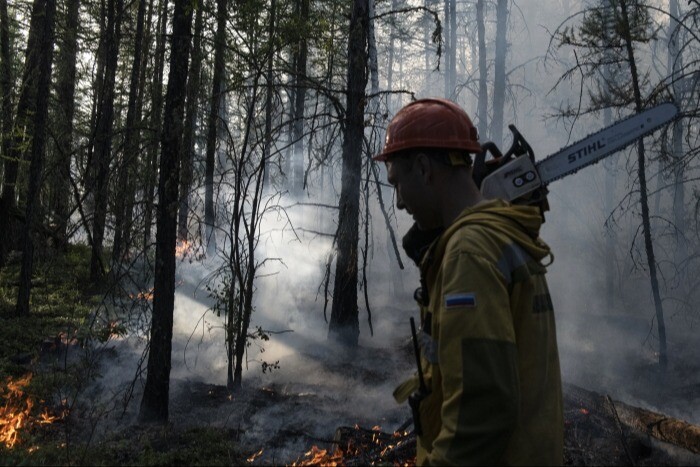 Площадь природных пожаров увеличилась за сутки на Ямале на 200 га