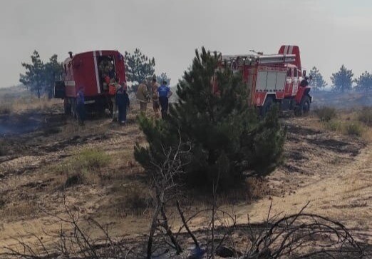 Площадь природного пожара в Усть-Донецком районе Ростовской области увеличилась до 252 га