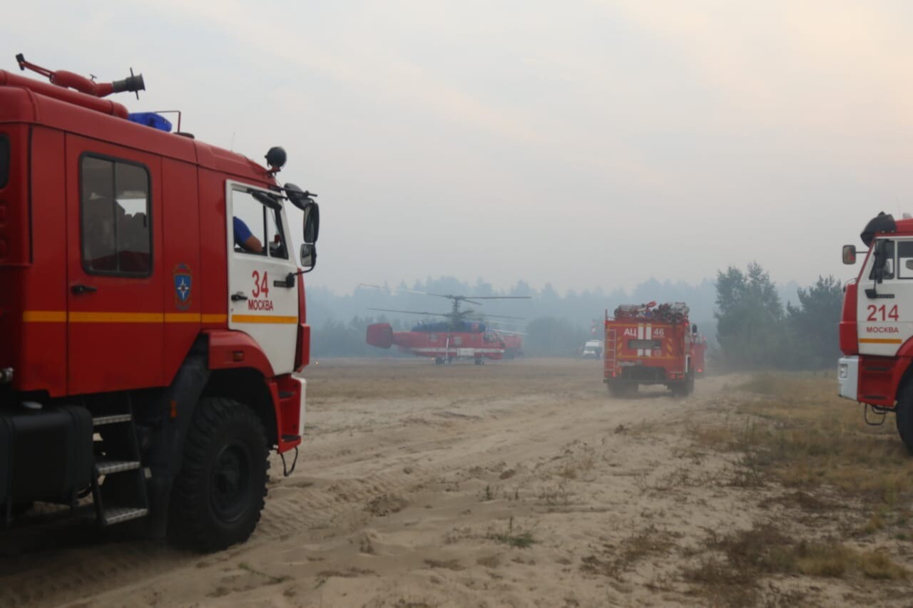 Площадь лесных пожаров в Рязанской области увеличилась до 181 га